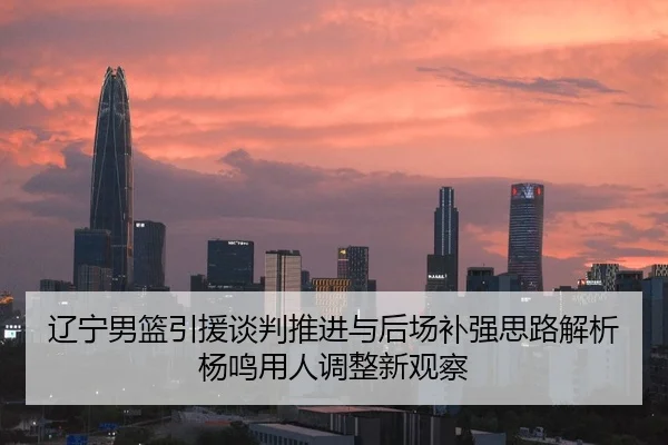 辽宁男篮引援谈判推进与后场补强思路解析杨鸣用人调整新观察